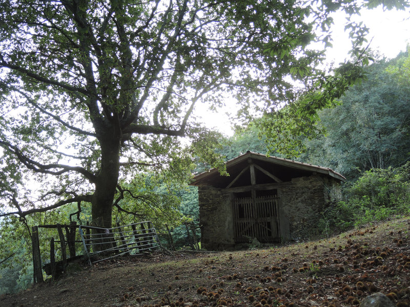 Mont Ursuya, sentier, bergerie