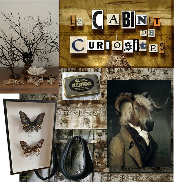 tendance-cabinet-curiosite