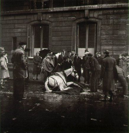 doisneau_fallen_horse