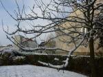 Neige