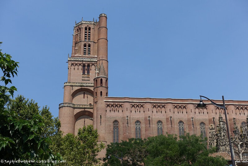 Albi cath côt