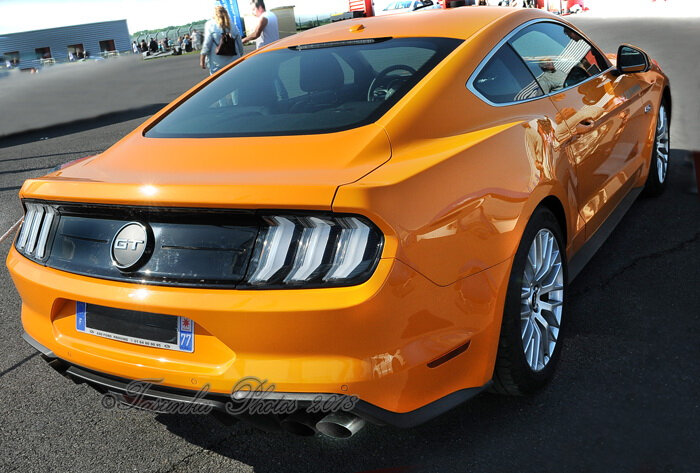 Mustangnats_Tasunkaphotos2018_01