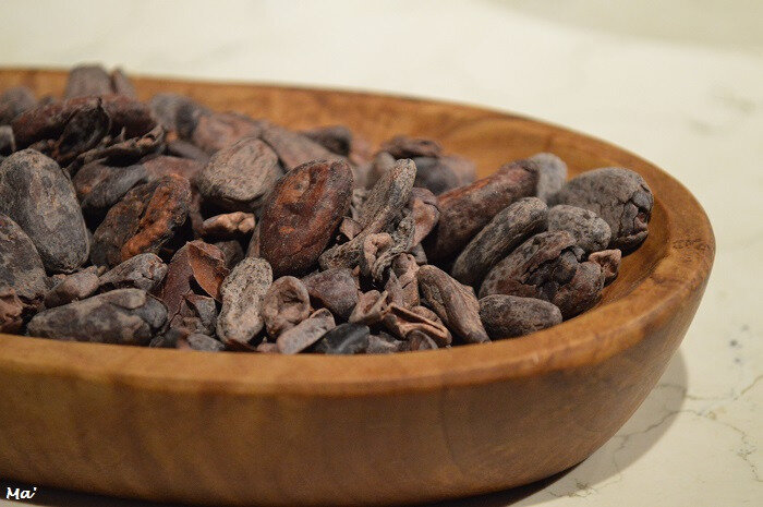 190508_cite_chocolat_6_feves_torrefiees