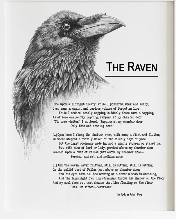 raven
