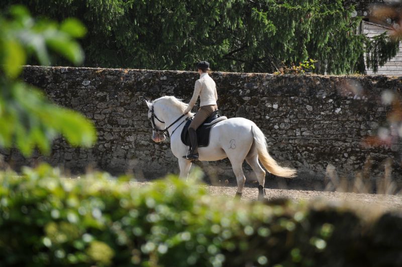 Puy du Fou 2011 - 3367