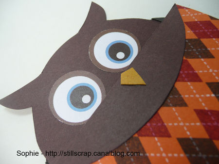 chouette_110