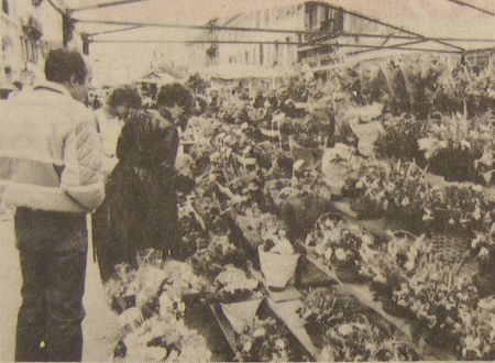 Marché aux fleurs 1984