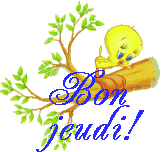 BON_JEUDI_titi_sur_une_branche