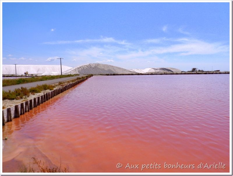 La Camargue