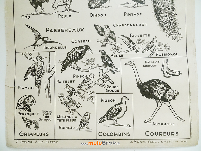 AFFICHE-GALLINACE-Hatier-3-muluBrok-Brocante