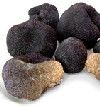 truffes