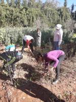 l'entretien du jardin