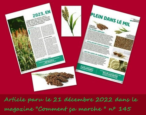 en_plein_dans_le_mil