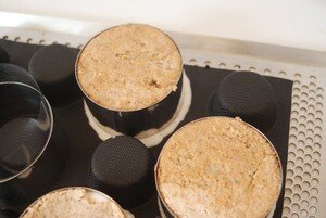 Bavarois_dacquois_de_noix_et_caramel_007