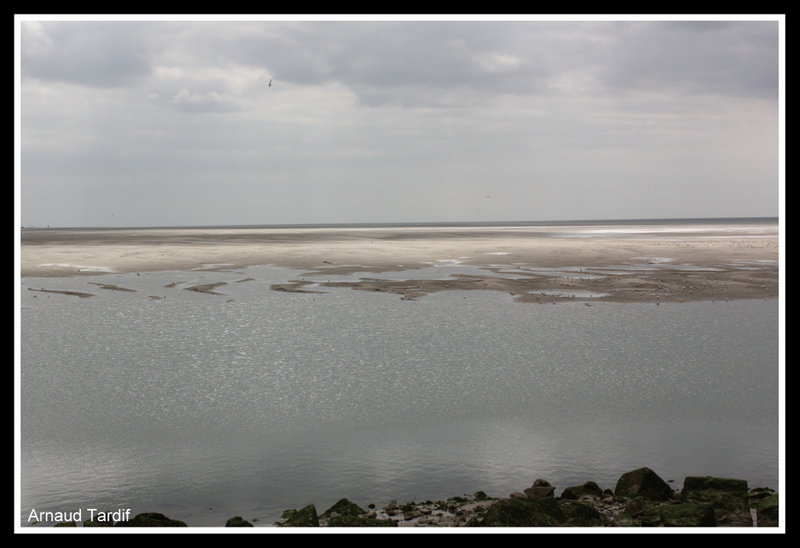 00988 Baie de Somme Septembre 2021 - La Baie d'Authie - Point de vue depuis la Digue de Berk-Plage vers l'océan