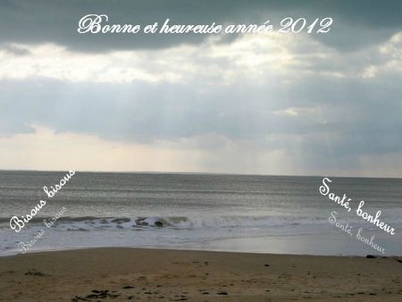 Bonne année 2012 chez Mamounette de Vendée