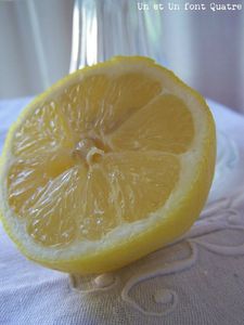 Carrés au citron (5)