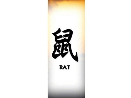 rat_1_