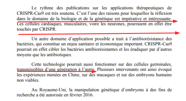 Screenshot (87)