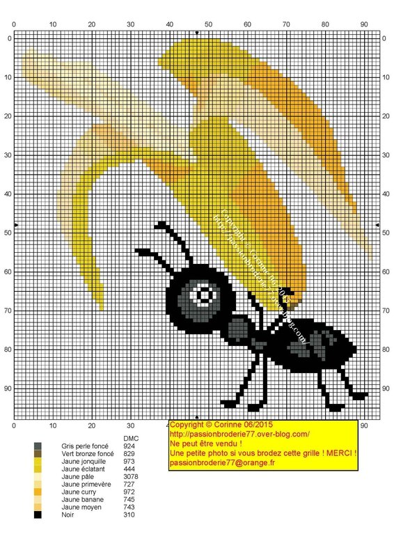Fourmis Banane
