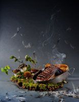 duboue_le_canard_se_met_en_boite_