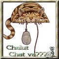 bonjour_chat_va