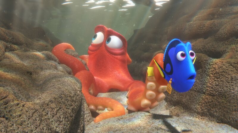 finding-dory-k240_24c_pub