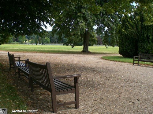 Parc du Château de Bouge (36)