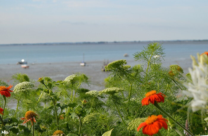 180719_Cancale_4
