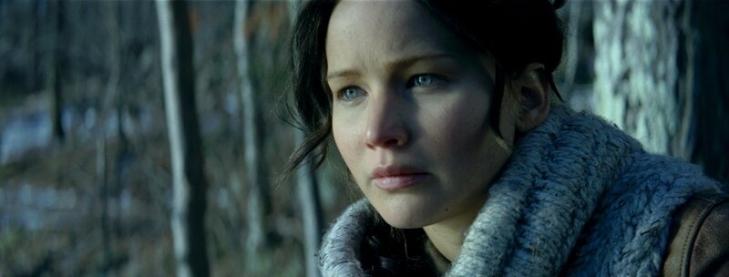 Hunger Games 12