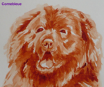 Aquarelle_chien