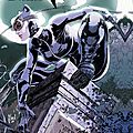 Urban DC Catwoman vol 1 la règle du jeu