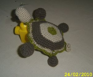 TORTUE_ISAHIA_04