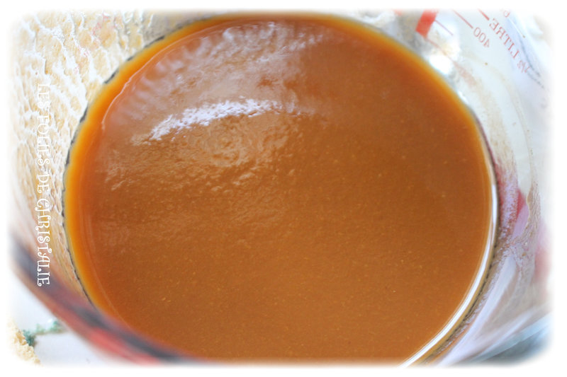 Petit bavarois abricots 2