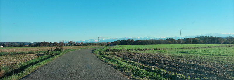 Sur la route, vers Laàs (64)