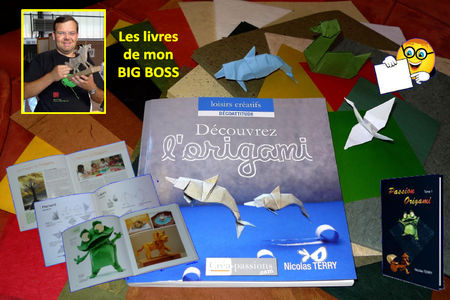 livre_origami