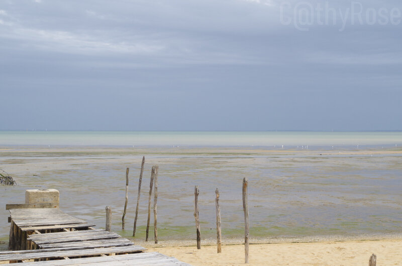 && plage Fort Royer (11)