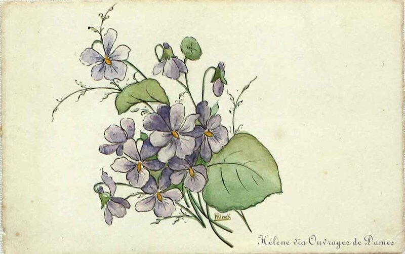 Les violettes d'Hélène