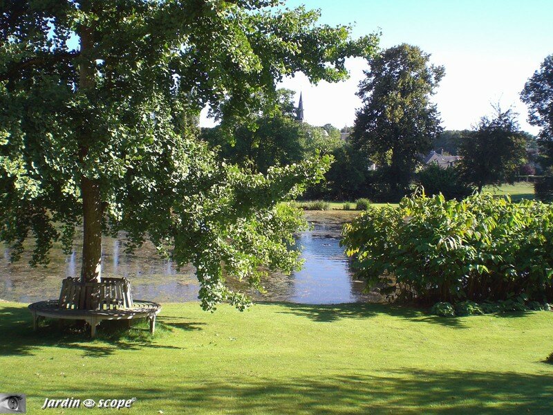 Au bord de l'étang d'eaux vives