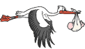 Copie-2-de-CigogneEnVol