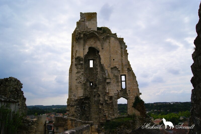 Les ruines du château baronnial (xiie siècle), ancien château des Évêques de Poitiers 3