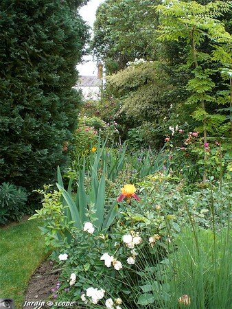 Jardin privé du rosiériste André EVE