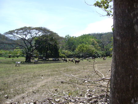 P1020129