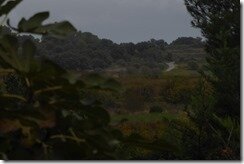 P1120301