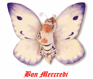 Bon_mercredi_bb_papillon