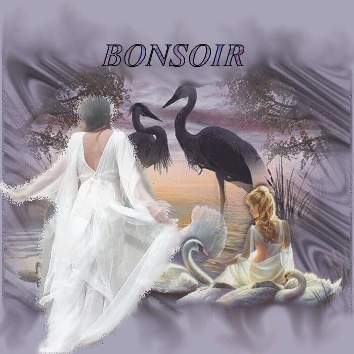 BONSOIR AMIS(ES)