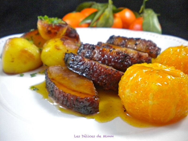 FiletsdecanardauxClémentines6
