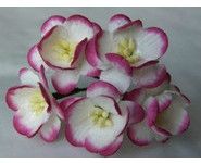 Fleur-de-cerisier-2tons-FramboiseBlanc-324-2-small-1-www-lesscrapbidulesdauria-kingeshop-com[1]