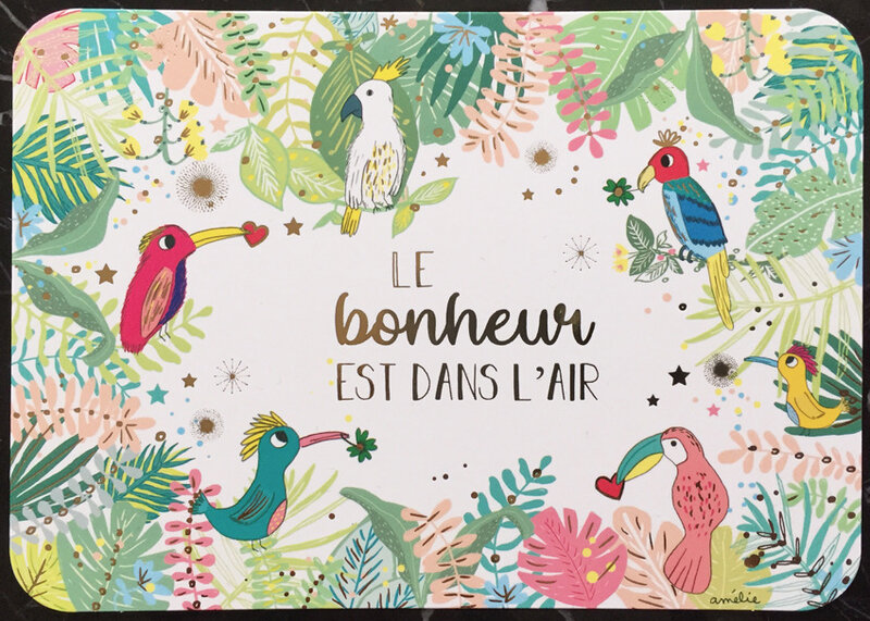 amelielaffaiteur_carte_oiseaux_exotiques_bonheur_air