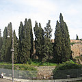 La traversée de Rome par le Corso (9/26). Le mausolée d’Auguste et l'Ara <b>Pacis</b> - Rione Campo Marzio.